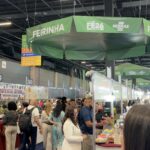 | CDL Palhoça e SEBRAE levam associados à Feira do Empreendedor 2026, em São Paulo